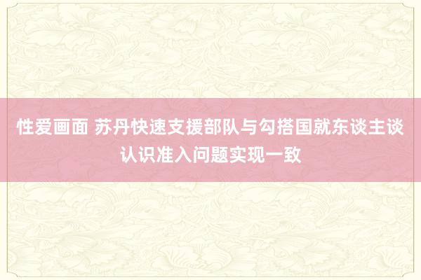 性爱画面 苏丹快速支援部队与勾搭国就东谈主谈认识准入问题实现一致