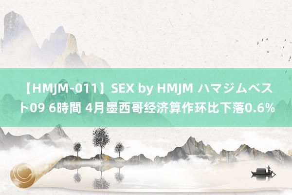 【HMJM-011】SEX by HMJM ハマジムベスト09 6時間 4月墨西哥经济算作环比下落0.6%