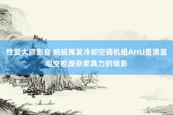 性爱大师影音 蜿蜒挥发冷却空调机组AHU是澳蓝组空柜庞杂家具力的缩影