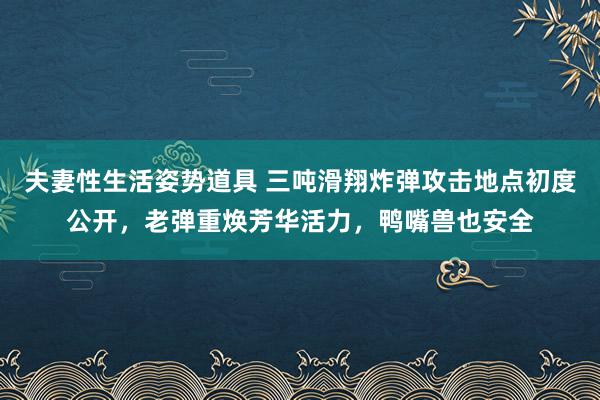 夫妻性生活姿势道具 三吨滑翔炸弹攻击地点初度公开，老弹重焕芳华活力，鸭嘴兽也安全