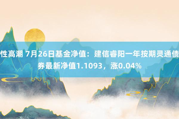 性高潮 7月26日基金净值：建信睿阳一年按期灵通债券最新净值1.1093，涨0.04%