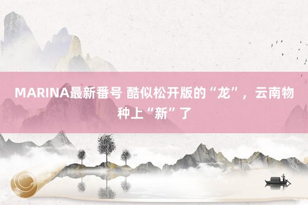 MARINA最新番号 酷似松开版的“龙”，云南物种上“新”了