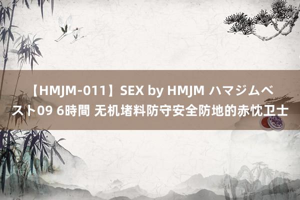 【HMJM-011】SEX by HMJM ハマジムベスト09 6時間 无机堵料防守安全防地的赤忱卫士