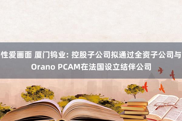 性爱画面 厦门钨业: 控股子公司拟通过全资子公司与Orano PCAM在法国设立结伴公司