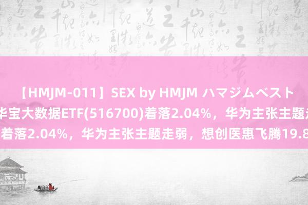 【HMJM-011】SEX by HMJM ハマジムベスト09 6時間 ETF最前列 | 华宝大数据ETF(516700)着落2.04%，华为主张主题走弱，想创医惠飞腾19.83%