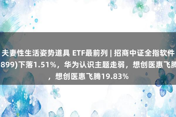 夫妻性生活姿势道具 ETF最前列 | 招商中证全指软件ETF(159899)下落1.51%，华为认识主题走弱，想创医惠飞腾19.83%