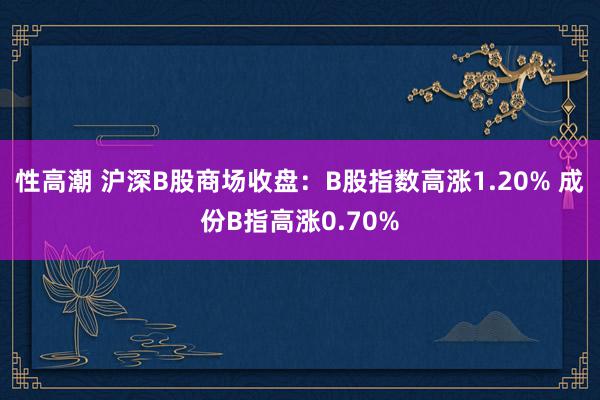 性高潮 沪深B股商场收盘：B股指数高涨1.20% 成份B指高涨0.70%