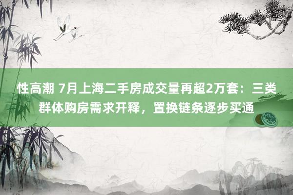 性高潮 7月上海二手房成交量再超2万套：三类群体购房需求开释，置换链条逐步买通