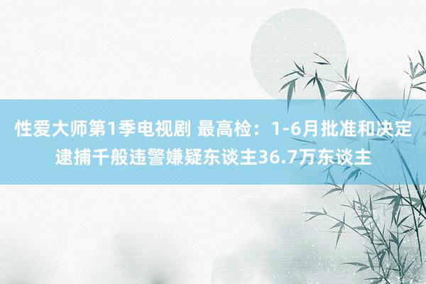 性爱大师第1季电视剧 最高检：1-6月批准和决定逮捕千般违警嫌疑东谈主36.7万东谈主