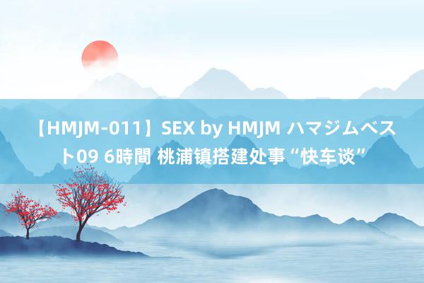 【HMJM-011】SEX by HMJM ハマジムベスト09 6時間 桃浦镇搭建处事“快车谈”