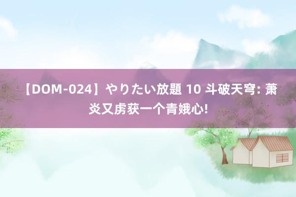 【DOM-024】やりたい放題 10 斗破天穹: 萧炎又虏获一个青娥心!