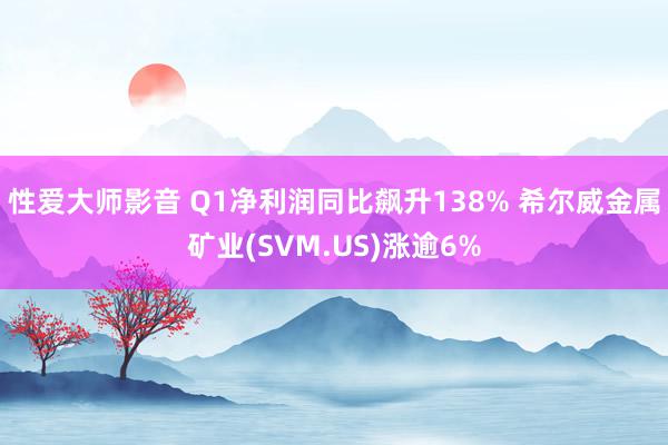 性爱大师影音 Q1净利润同比飙升138% 希尔威金属矿业(SVM.US)涨逾6%