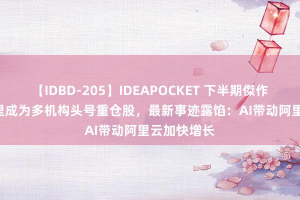 【IDBD-205】IDEAPOCKET 下半期傑作集2009 阿里成为多机构头号重仓股，最新事迹露馅：AI带动阿里云加快增长