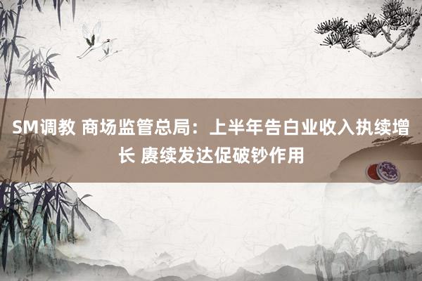 SM调教 商场监管总局：上半年告白业收入执续增长 赓续发达促破钞作用