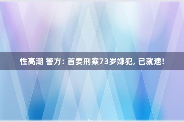 性高潮 警方: 首要刑案73岁嫌犯, 已就逮!