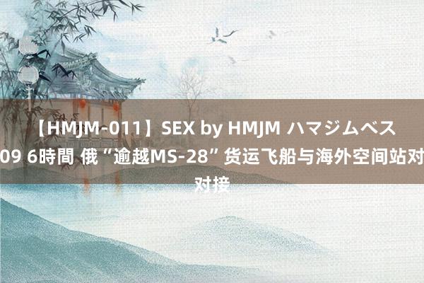 【HMJM-011】SEX by HMJM ハマジムベスト09 6時間 俄“逾越MS-28”货运飞船与海外空间站对接