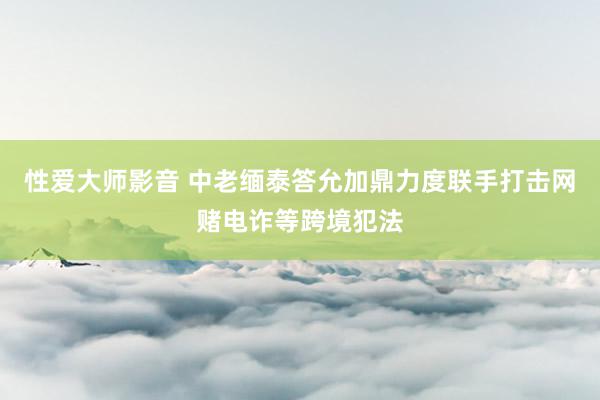 性爱大师影音 中老缅泰答允加鼎力度联手打击网赌电诈等跨境犯法