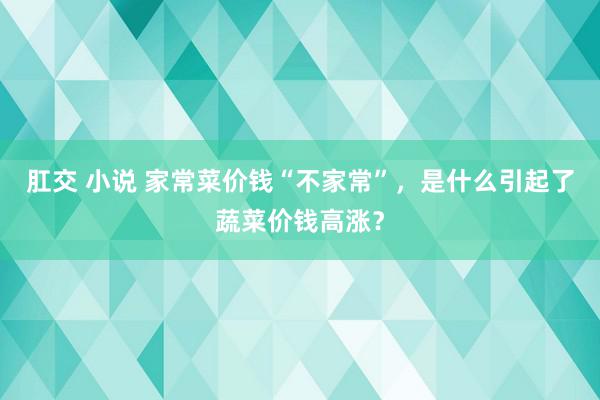 肛交 小说 家常菜价钱“不家常”，是什么引起了蔬菜价钱高涨？