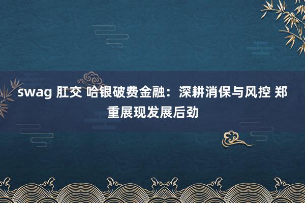 swag 肛交 哈银破费金融：深耕消保与风控 郑重展现发展后劲