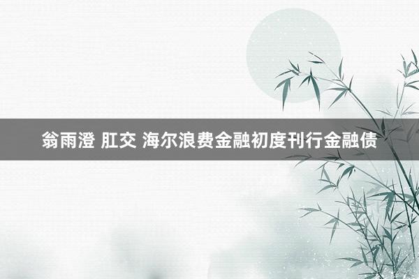 翁雨澄 肛交 海尔浪费金融初度刊行金融债