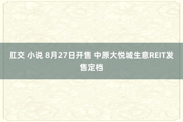 肛交 小说 8月27日开售 中原大悦城生意REIT发售定档