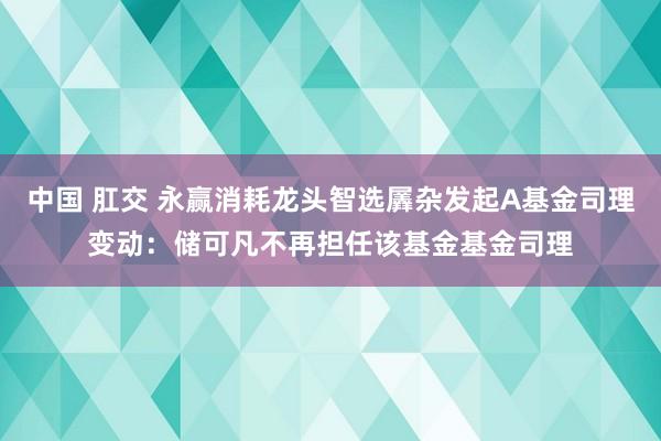 中国 肛交 永赢消耗龙头智选羼杂发起A基金司理变动：储可凡不再担任该基金基金司理