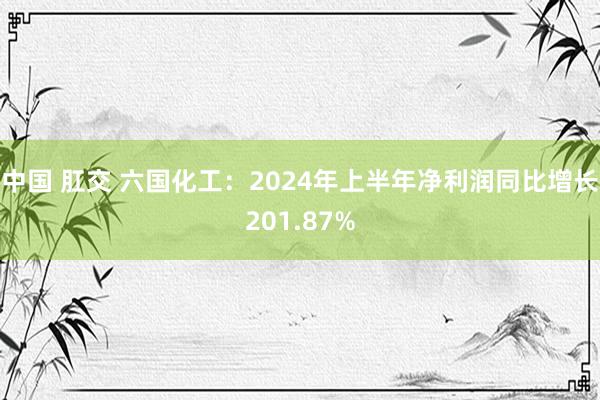 中国 肛交 六国化工：2024年上半年净利润同比增长201.87%