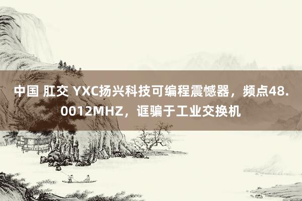 中国 肛交 YXC扬兴科技可编程震憾器，频点48.0012MHZ，诓骗于工业交换机