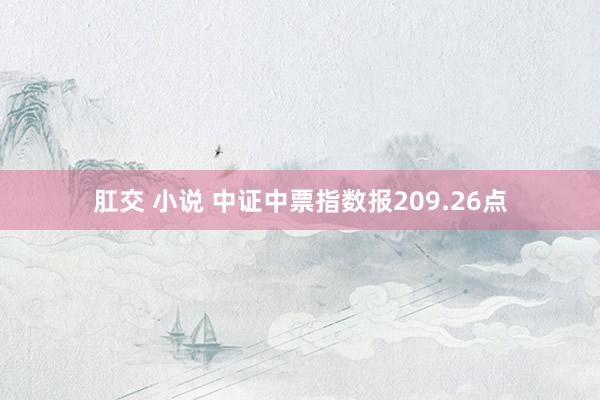 肛交 小说 中证中票指数报209.26点